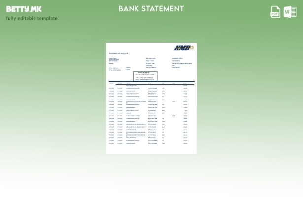 Модерен стил Зимбабве NMB шаблон за збор за извод на сметката